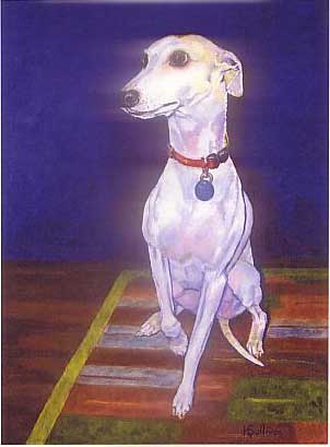 Winsome Whippet