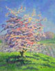 Blossoming Apple Tree