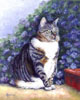 His Majesty