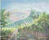 Summer Vineyard,