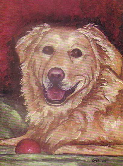 Golden Retriever