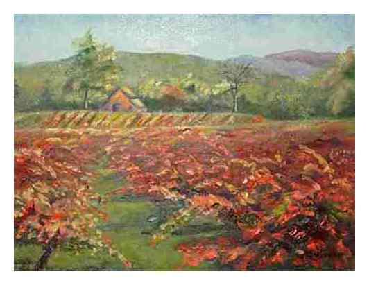 item #2, Fall Vineyard
